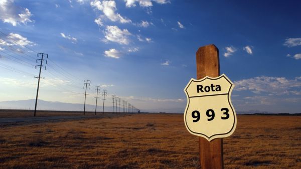 Rota 993